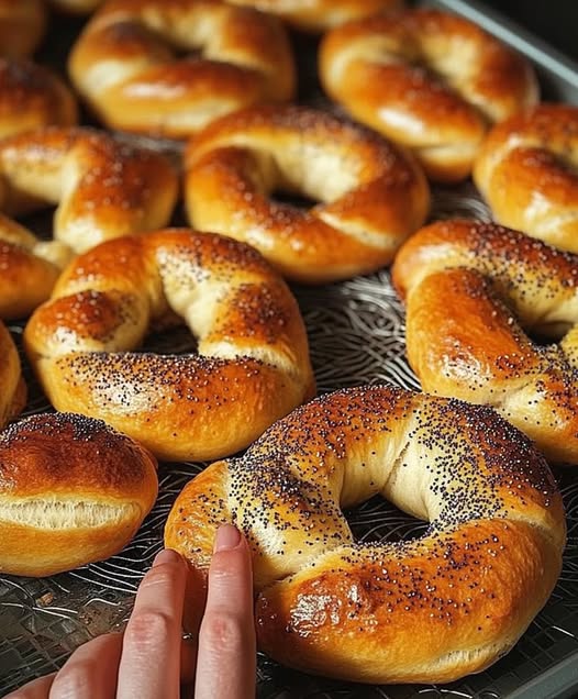 Bagels Fatti in Casa: La Tradizione Newyorkese in Cucina Italiana