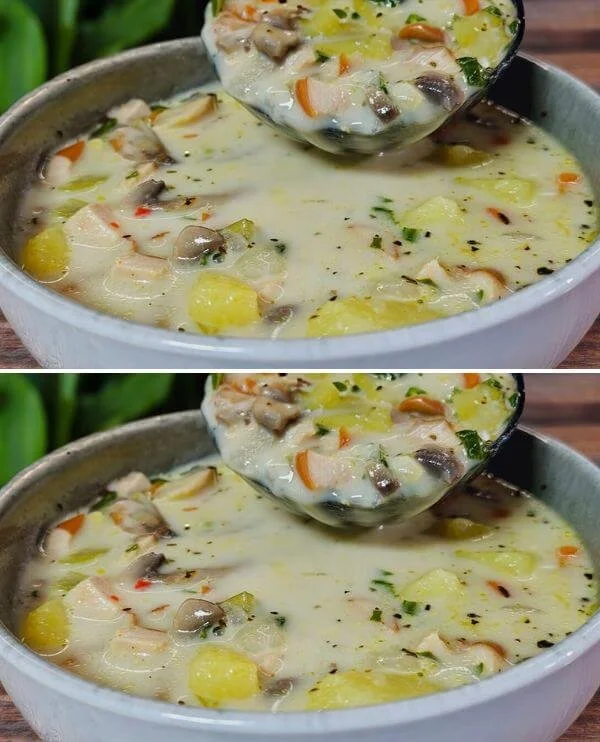 Zuppa di pollo con funghi servita in una ciotola calda