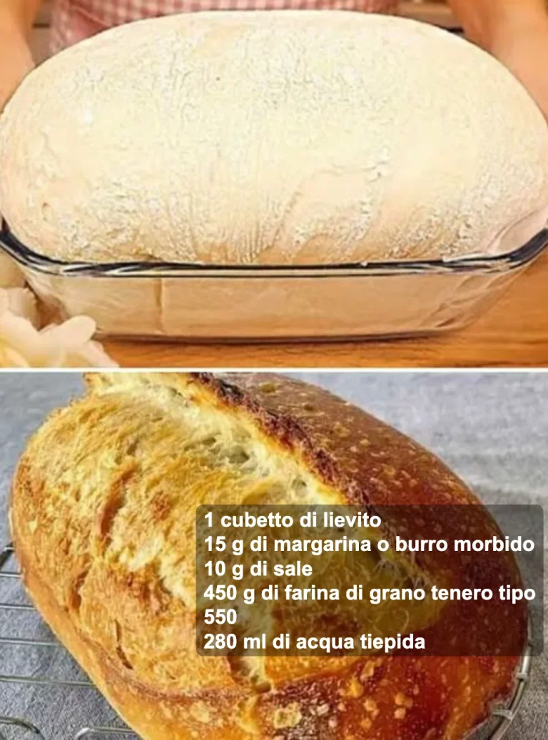 Pane Rustico fragrante e croccante, ideale per accompagnare i tuoi piatti