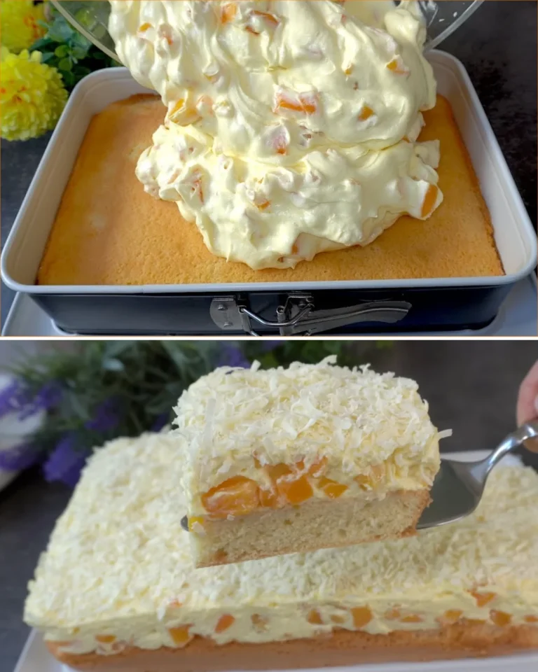 Torta alle pesche e albicocche, dolce facile e leggero