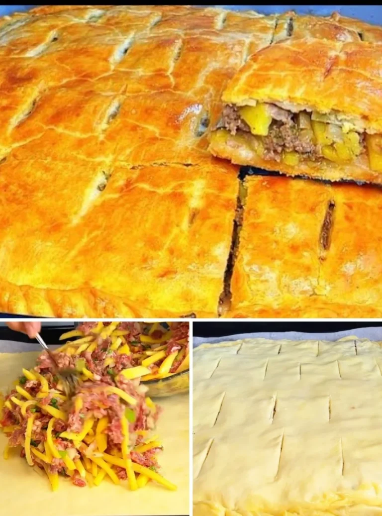 Pasticcio di patate e carne, piatto tradizionale italiano