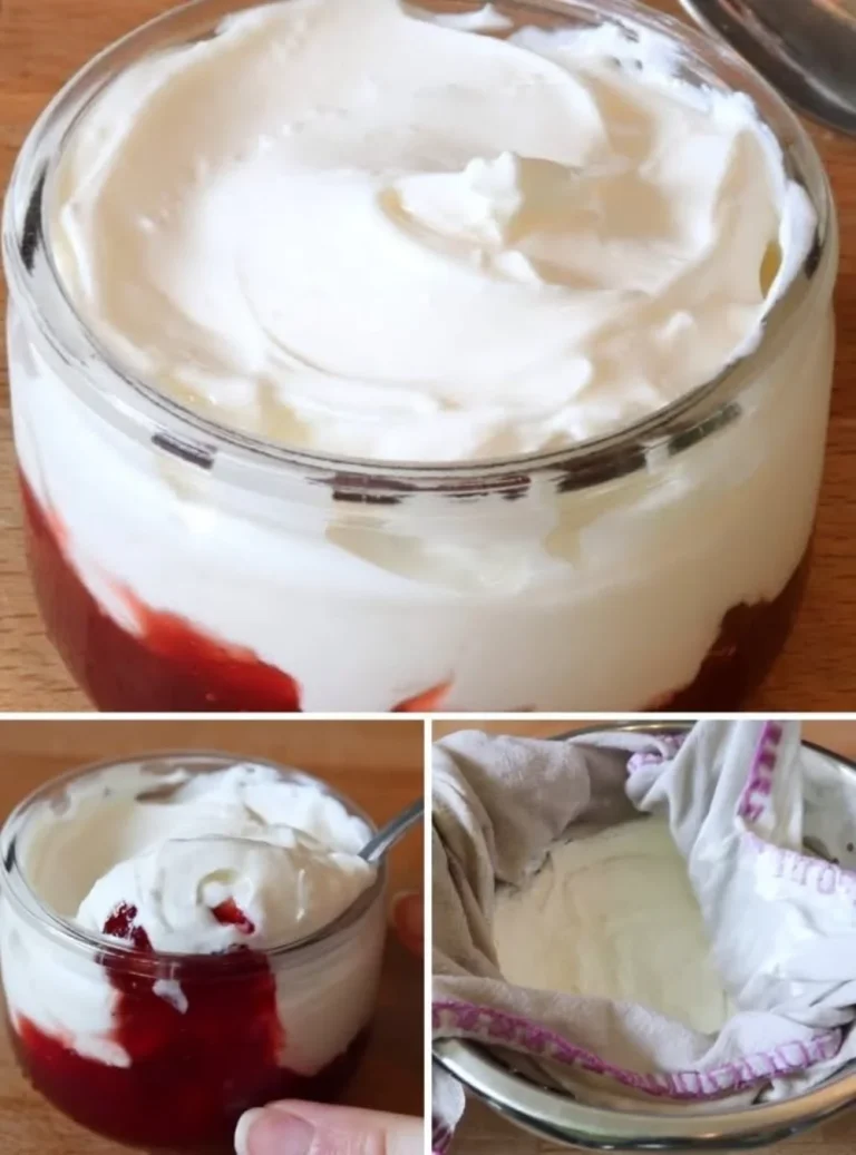 Yogurt greco fatto in casa con semplice ricetta